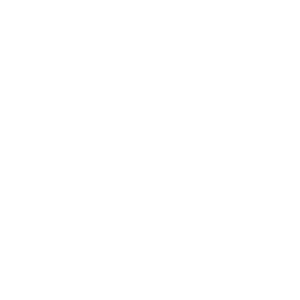 THA_logo White
